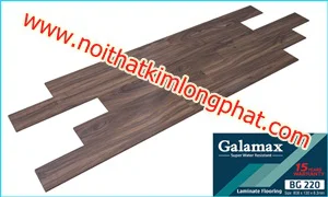 GALAMAX BG 220